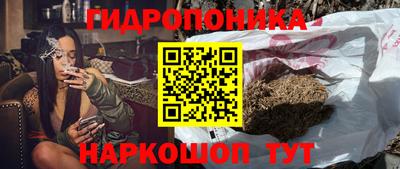 прущие крисы Шелехов