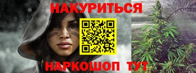 прущие крисы Шелехов
