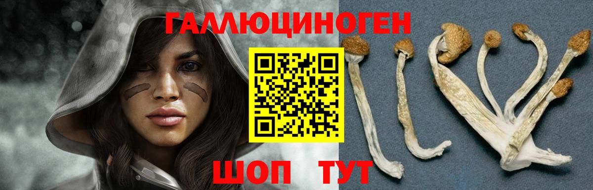 Барнаул  Псилоцибиновые грибы MAGIC MUSHROOMS  Псилоцибиновые грибы прущие грибы  Вход с VPN 